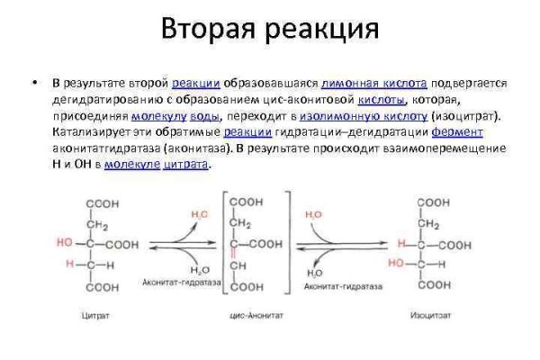 Как зарегистрироваться на кракене маркетплейс