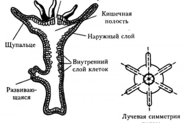 Kraken 15 at